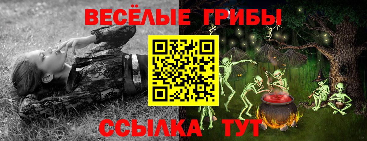 Приморско-Ахтарск  Галлюциногенные грибы Magic Shrooms  Вход с VPN 